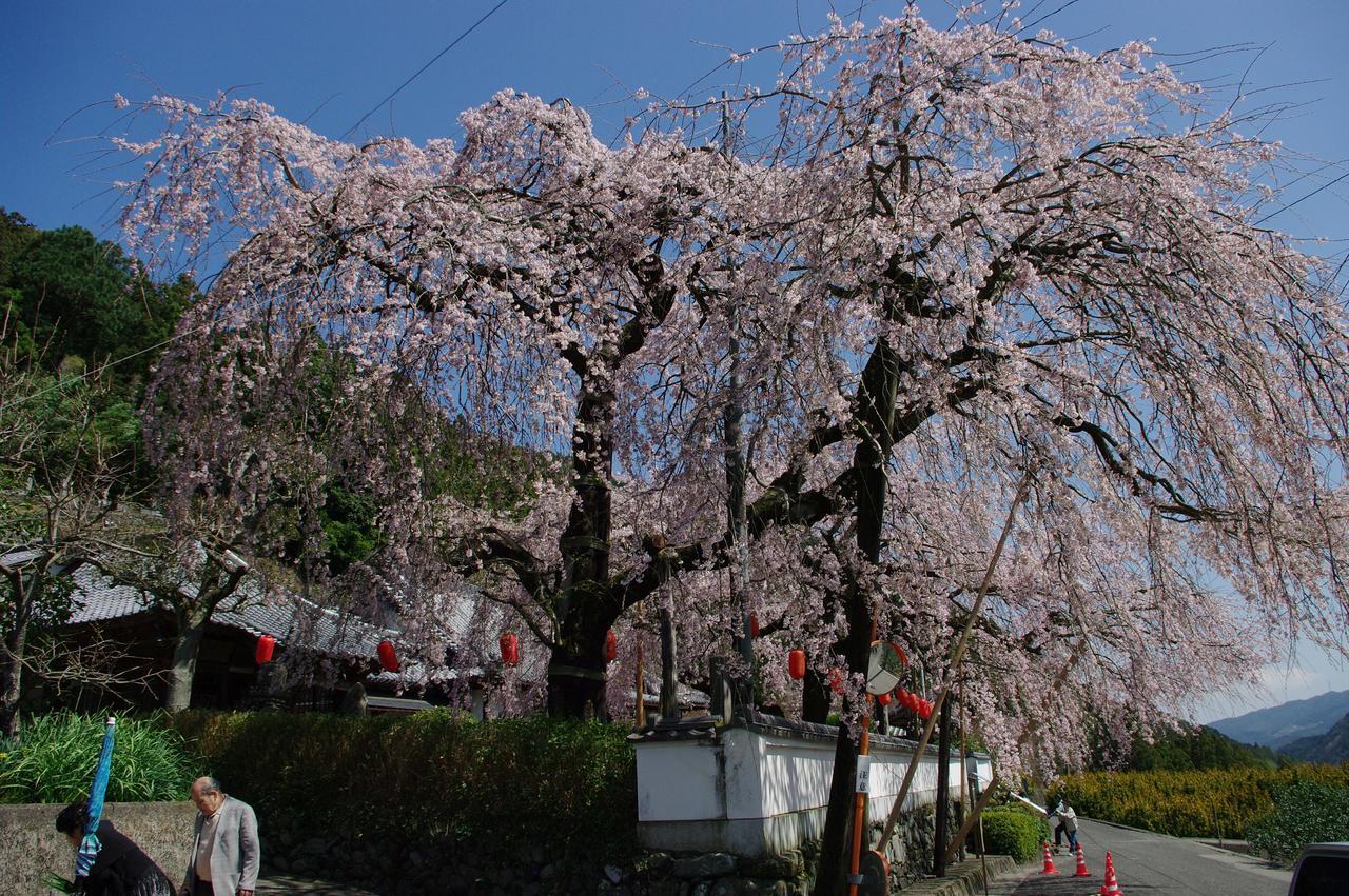 Kamiyama Onsen Hotel Shikinosato & Iyashinoyu Tokushima Bagian luar foto